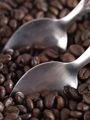 Image showing Coffee beans and spoons