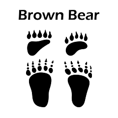 Image showing Brown Bear Footprint