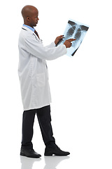 Image showing Professional surgeon, xray scan and black man with MRI results of lung evaluation, clinic test or medical exam. Studio, radiologist and African doctor study anatomy assessment on white background