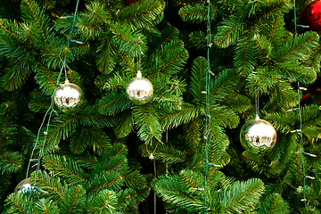 Image showing Christmas Tree