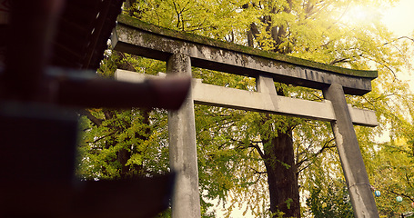 Image showing Shinto shrine, temple or torii for faith at building for praise, worship or religion in forest by trees. Woods, symbol and below for culture, peace and mindfulness for spiritual connection in Japan