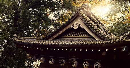 Image showing Japanese, temple and building for praise religion or worship, peace or mindfulness practice. Architecture, trees and environment for spiritual meditation or calm faith for wellness, buddhist or pray