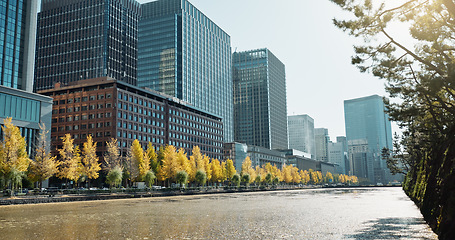 Image showing City, buildings and river on landscape, skyline and trees on sidewalk for sustainability in metro. Skyscraper, cityscape and nature with water, lake and outdoor in environment for urban expansion