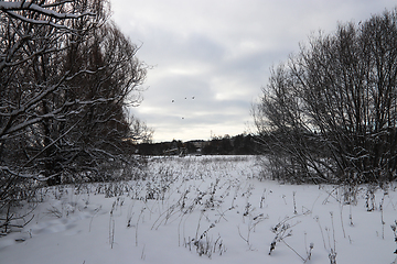 Image showing Østensjøvannet