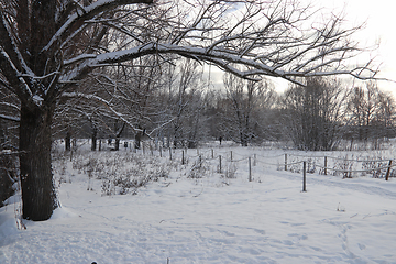 Image showing Østensjøvannet