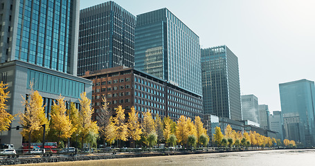 Image showing City, buildings and river on landscape, skyline and trees on sidewalk for sustainability in metro. Skyscraper, cityscape and nature with water, lake and outdoor in environment for urban expansion