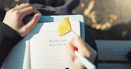 Image showing Person, hands and writing in book on park bench for reminder, agenda or memory in nature above. Top view and closeup of writer or journalist taking notes in diary or notebook with pen for planning