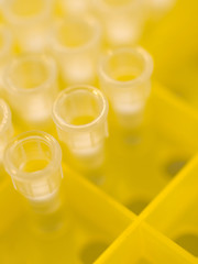 Image showing Pipette plastic tips