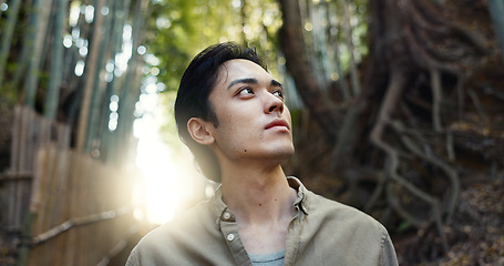 Image showing Face, thinking or Asian man in forest for journey on holiday, vacation for freedom or wellness. Hiking, travel and Japanese male person with insight for calm, peace and inspiration to relax in park