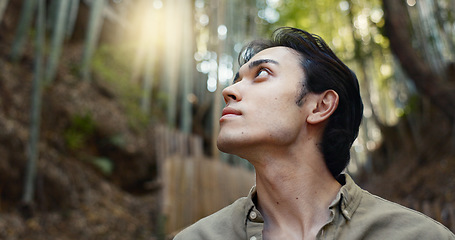 Image showing Face, thinking or Asian man in forest for journey on holiday, vacation for freedom or wellness. Hiking, travel and Japanese male person with insight for calm, peace and inspiration to relax in park
