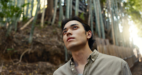 Image showing Face, thinking or Asian man in forest for journey on holiday, vacation for freedom or wellness. Hiking, travel and Japanese male person with insight for calm, peace and inspiration to relax in park