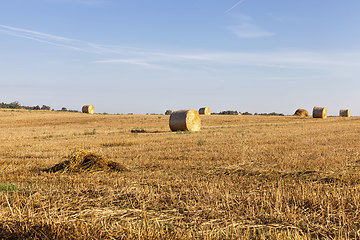 Image showing a stack of straw