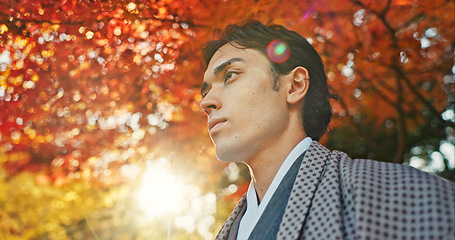 Image showing Man in garden, Asian and peace, thinking about life with reflection and tranquility in traditional clothes. Travel, Japanese park and nature for fresh air, inspiration or insight with sunshine