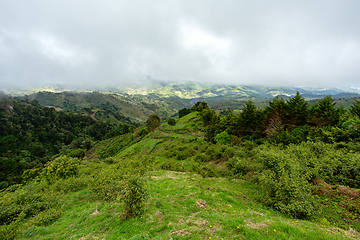 Image showing Rain forest in Tapanti national park, Costa Rica