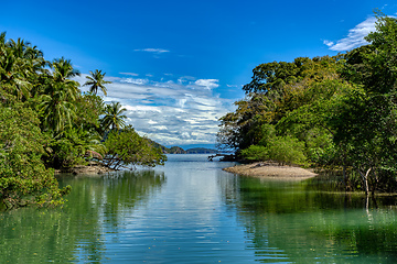 Image showing Playa in Curu Wildlife Reserve, Costa Rica wildlife.