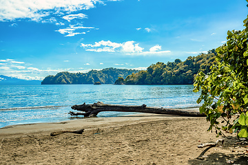 Image showing Playa in Curu Wildlife Reserve, Costa Rica wildlife.