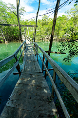 Image showing Wooden bridge pathway over marshy river with vegetation thicket