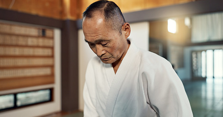 Image showing Japanese sensei, aikido and instructor for fighting, modern martial arts and class in self defence. Teacher, respect and bow as trainer in life energy, man and strong in coaching in dojo place