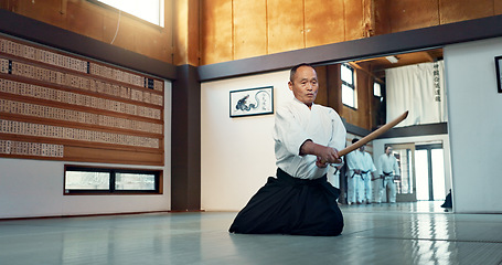Image showing Aikido sword, mature sensei and man teaching class, self defense or combat technique. Martial arts, Japanese person and wooden weapon for skills development, attack demonstration or bokken strike
