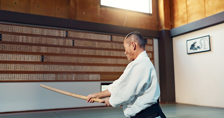 Image showing Aikido sword, mature sensei and man teaching class, self defense or combat technique. Martial arts, Japanese person and wooden weapon for skills development, attack demonstration or bokken strike