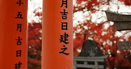 Image showing Architecture, torii gates and pillars at temple for religion, travel and traditional landmark for spirituality. Buddhism, Japanese culture and trip to Kyoto, prayer and Fushimi Inari Taisha Shrine