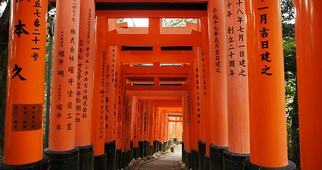 Image showing Architecture, torii gates and temple for religion, travel and traditional landmark for spirituality. Buddhism, Japanese culture and trip to Kyoto, zen and prayer or pathway by Fushimi Inari Shinto