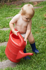 Image showing Baby, garden and boy with a water can, nature and playing with fun, happiness and summer. Grass, child development and kid with a toy, environment and liquid for grass, break and learning with growth