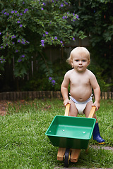 Image showing Portrait, boy and child with a wheelbarrow, garden and nature with grass, playing and fun. Summer, backyard and kid with equipment, child development and countryside with plants, growth and happiness
