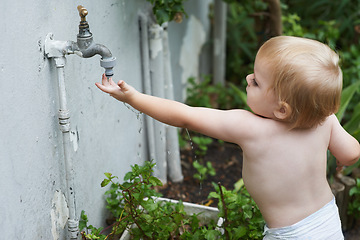 Image showing Baby, playing with water and home in outdoor, development and growth for curiosity, backyard and diaper. Toddler, child and face in garden, alone and childhood memories for exploring with tap