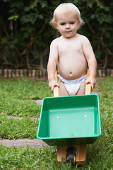 Image showing Portrait, boy and kid with a wheelbarrow, gardening and nature with grass, playing and fun. Summer, backyard and toy with child development, baby and countryside with plants, growth and happiness