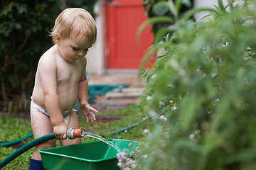 Image showing Boy, playing with hose and gardening, water and development with bucket, curiosity and backyard. Toddler, child and infant in garden, alone and childhood for skills, growth and coordination