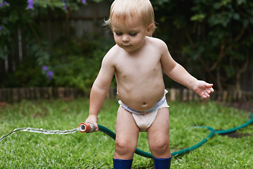 Image showing Baby, playing with hose and garden, water and development with growth, curiosity and backyard. Toddler, child and infant in gardening, alone and childhood for skills, milestone and coordination