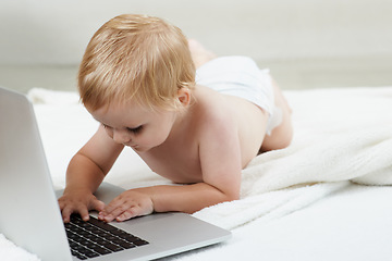 Image showing Baby, learning and playing on laptop in home with online games for education or elearning. Happy, child and relax with cartoon, movies or development of knowledge of technology for growth and fun