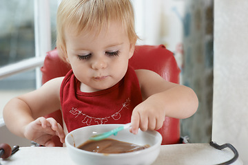 Image showing Hungry, sweet and baby eating porridge for health, nutrition or child development at home. Food, cute and girl toddler or kid enjoying an organic puree meal for lunch or dinner in high chair at house