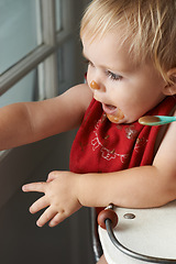 Image showing Cute, feeding and baby eating porridge in high chair for nutrition, health and wellness at home. Sweet, playing and girl kid, infant or toddler enjoying puree food for child development at house.