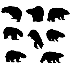 Image showing Bear Silhouette Set