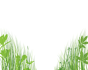 Image showing Green Grass Meadow