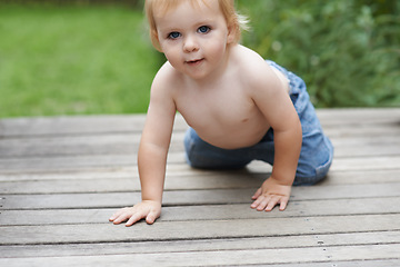 Image showing Baby, portrait on floor outdoor for development with relax, curiosity and early childhood in backyard of home. Toddler, child and crawling on ground for wellness, milestone and exploring with playing