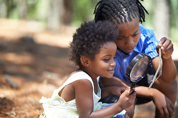 Image showing Children, siblings and magnifying glass in a forest for branch, inspection or discovery in nature together. Black family, kids and magnifier in park for adventure, learning or discovery, games or fun