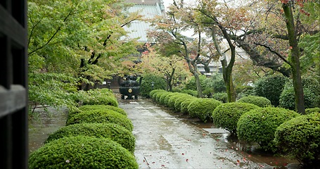 Image showing Buddhist temple, japan and religion in cemetery to worship, praise and prayer building in culture. Japanese path, spiritual hope and travel in peace in rain, shinto shrine and graveyard in tokyo city