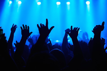 Image showing Club, concert and audience with hands or lights for music, party and rave festival with spotlight and dancing. Disco, psychedelic event and performance with entertainment, crowd and rear view gesture