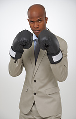 Image showing Boxing gloves, studio portrait and professional black man, fighter or lawyer to fight for government law. Battle, boxer and African agent for legal defence, protection or security on white background