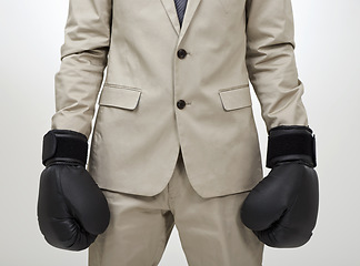 Image showing Boxing gloves, studio hands and business person, fighter or lawyer ready to fight for law. Suit, closeup boxer and advocate for legal defence, protection and security on white background