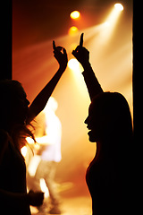 Image showing Fans, silhouette and dance to music backstage at event and lights on band for performance at festival. Nightclub, party and people in audience excited for musician and listening to sound with freedom
