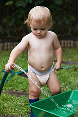 Image showing Baby, playing with hose and gardening, water and development with bucket, curiosity and backyard. Toddler, child and infant in garden, alone and childhood for skills, milestone and coordination