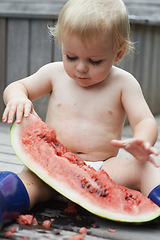 Image showing Baby, playing with watermelon and eating, backyard and development with growth, curiosity and home. Toddler, child and infant in garden, alone and childhood for wellness, milestone and coordination