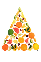 Image showing Surreal Citrus and Berry Fruit Tree Shape Design