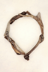 Image showing Driftwood Wreath Minimal Abstract Frame