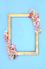 Image showing Apple Blossom Flower Spring Background Frame