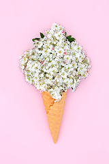 Image showing Surreal Spring Hawthorn Blossom Ice Cream 